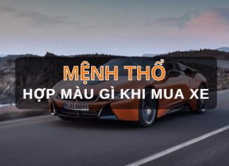 Mệnh thổ mua xe màu gì hợp phong thủy? Cập nhật (2022) mệnh thổ mua xe màu gì