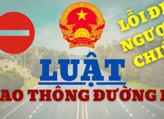 Lỗi đi ngược chiều là gì? Mức phạt lỗi đi ngược chiều như thế nào Lỗi đi ngược chiều là gì
