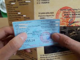 Cà vẹt xe là gì? Cách nhận biết cà vẹt xe thật giả chi tiết Cà vẹt xe là gì