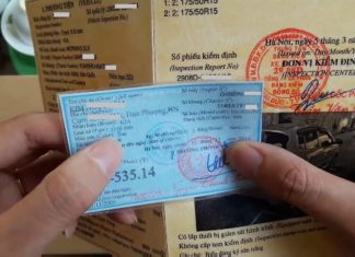 Cà vẹt xe là gì? Cách nhận biết cà vẹt xe thật giả chi tiết Cà vẹt xe là gì