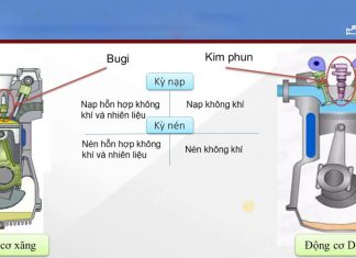 Phân biệt, so sánh động cơ xăng và động cơ dầu có gì khác nhau Động cơ xăng và động cơ dầu