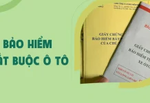 Bảo Hiểm Bắt Buộc Ô Tô: Sự Bảo Vệ Cần Thiết Cho Giao Thông Bảo Hiểm Bắt Buộc Ô Tô