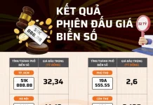 Đấu Giá Biển Số Xe Ô Tô: Cách Đấu Giá Biển Số Xe Trực Tuyến Đấu Giá Biển Số Xe Ô Tô